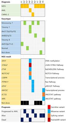 Unraveling trajectories from aplastic anemia to hematologic malignancies: genetic and molecular insights